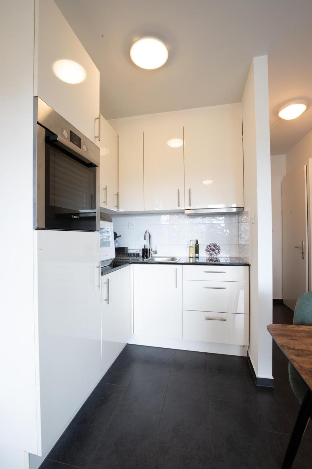 Special Modern Lisa Apartment Basel, Bahnhof Grossbasel 10-Star Dış mekan fotoğraf